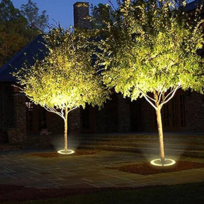 Lumara – Spots solaires élégants pour arbres et jardins